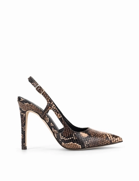 Cipriani Stiletto Pump - Brown Snake Leather
