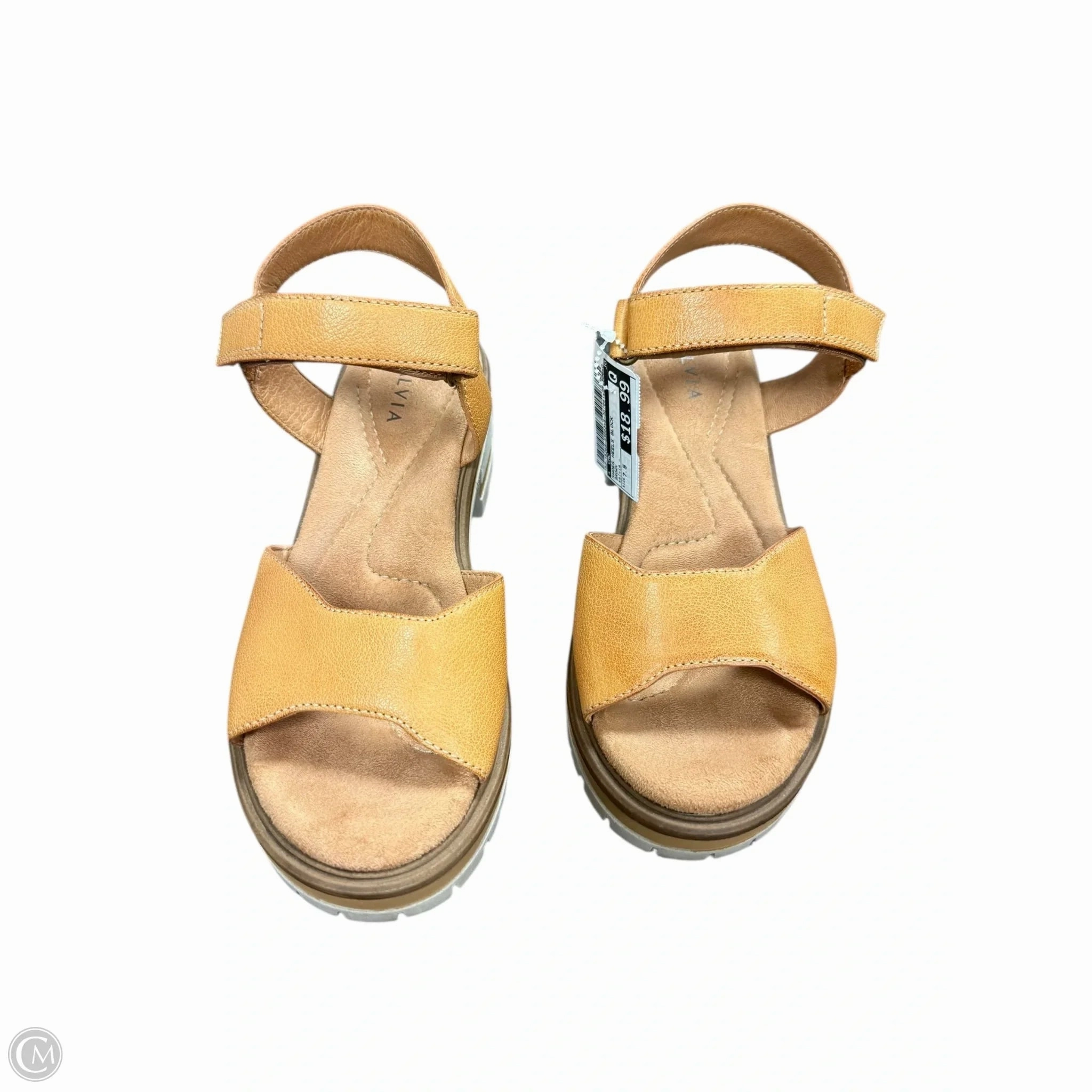 Shoes Heels Block By Cmc In Brown, Size: 7.5