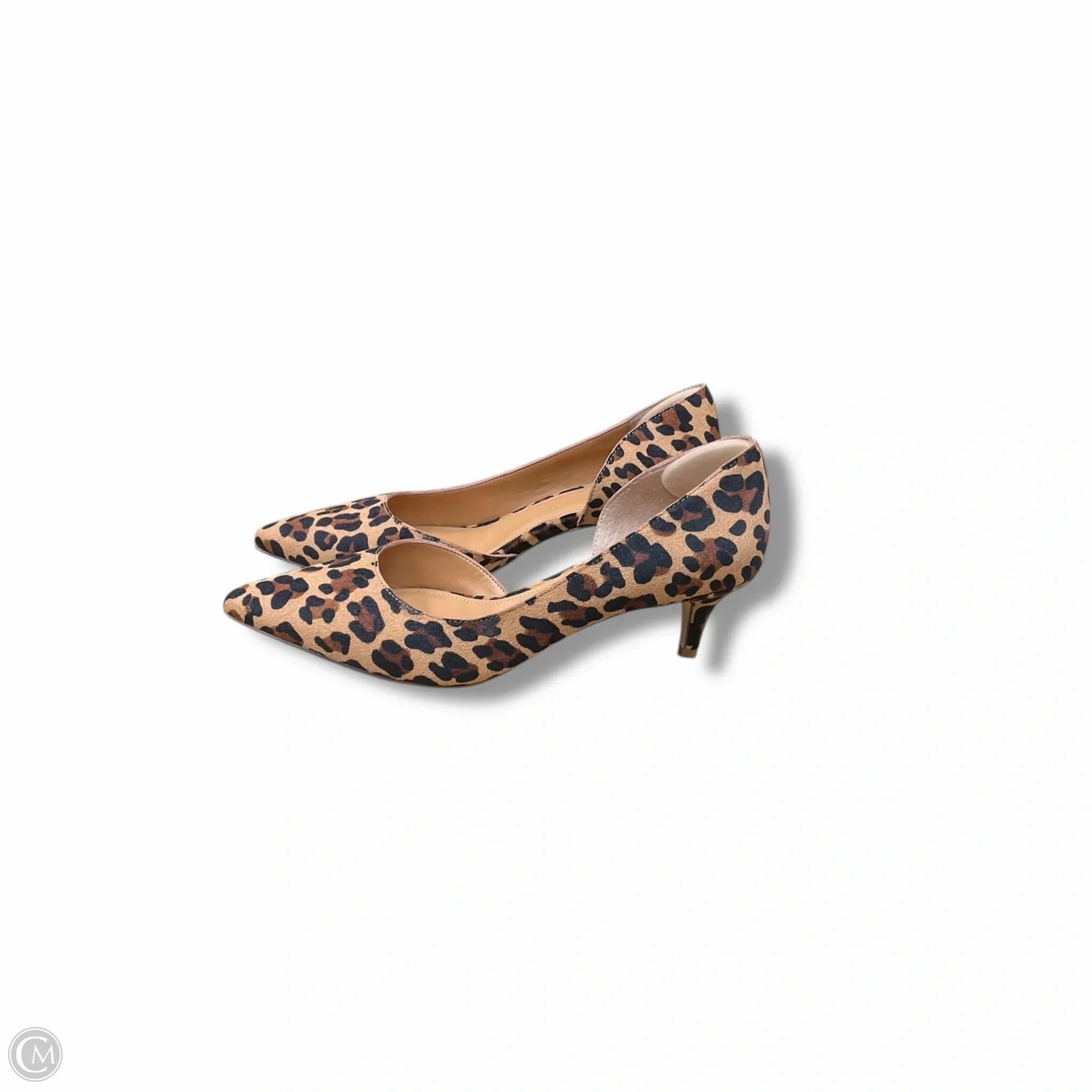 Shoes Heels Kitten By J. Crew In Animal Print, Size: 7