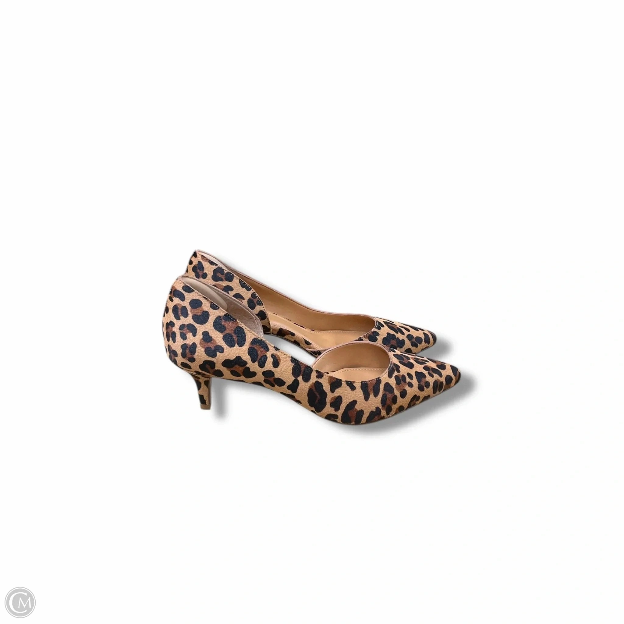 Shoes Heels Kitten By J. Crew In Animal Print, Size: 7