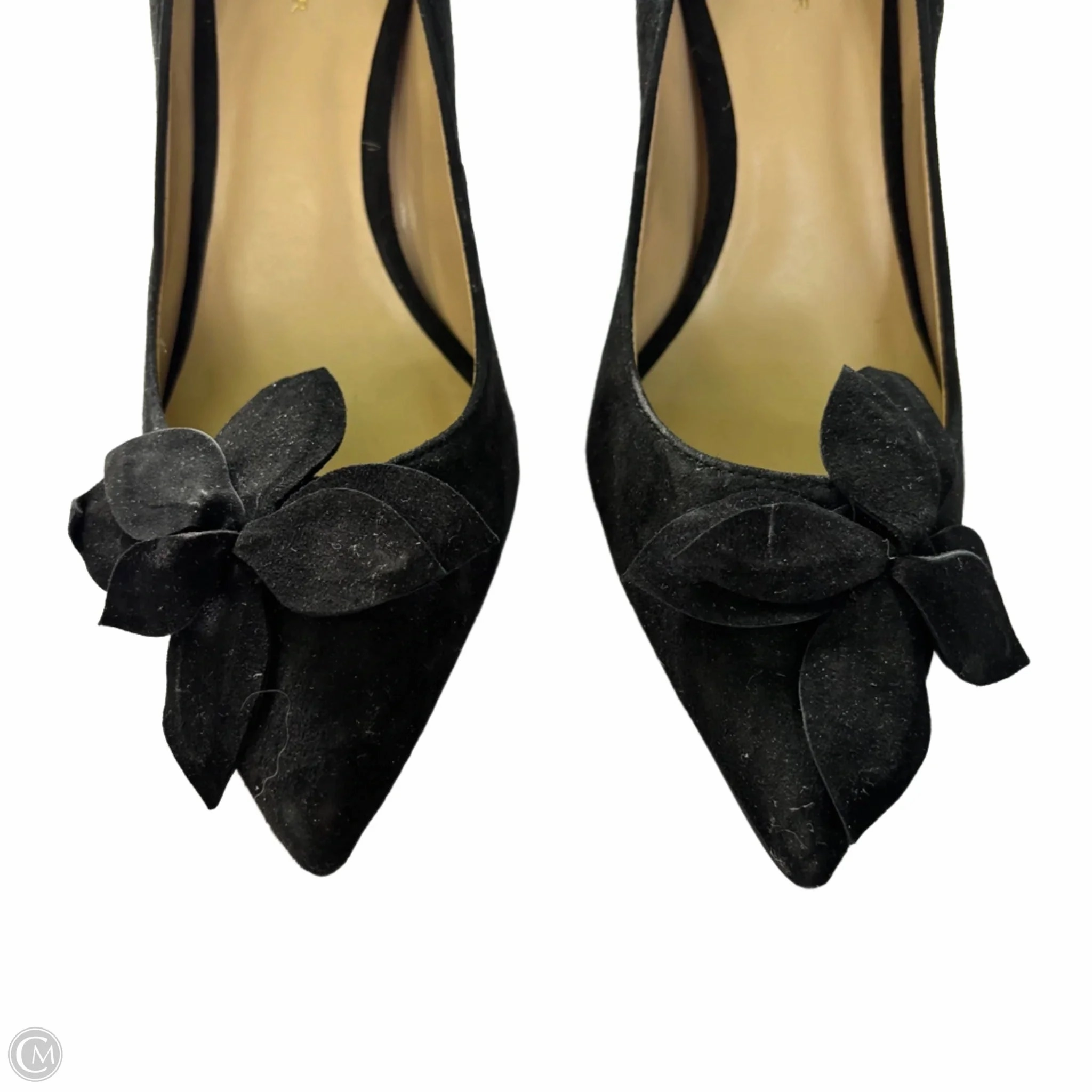 Shoes Heels Stiletto By Ann Taylor In Black, Size: 6.5