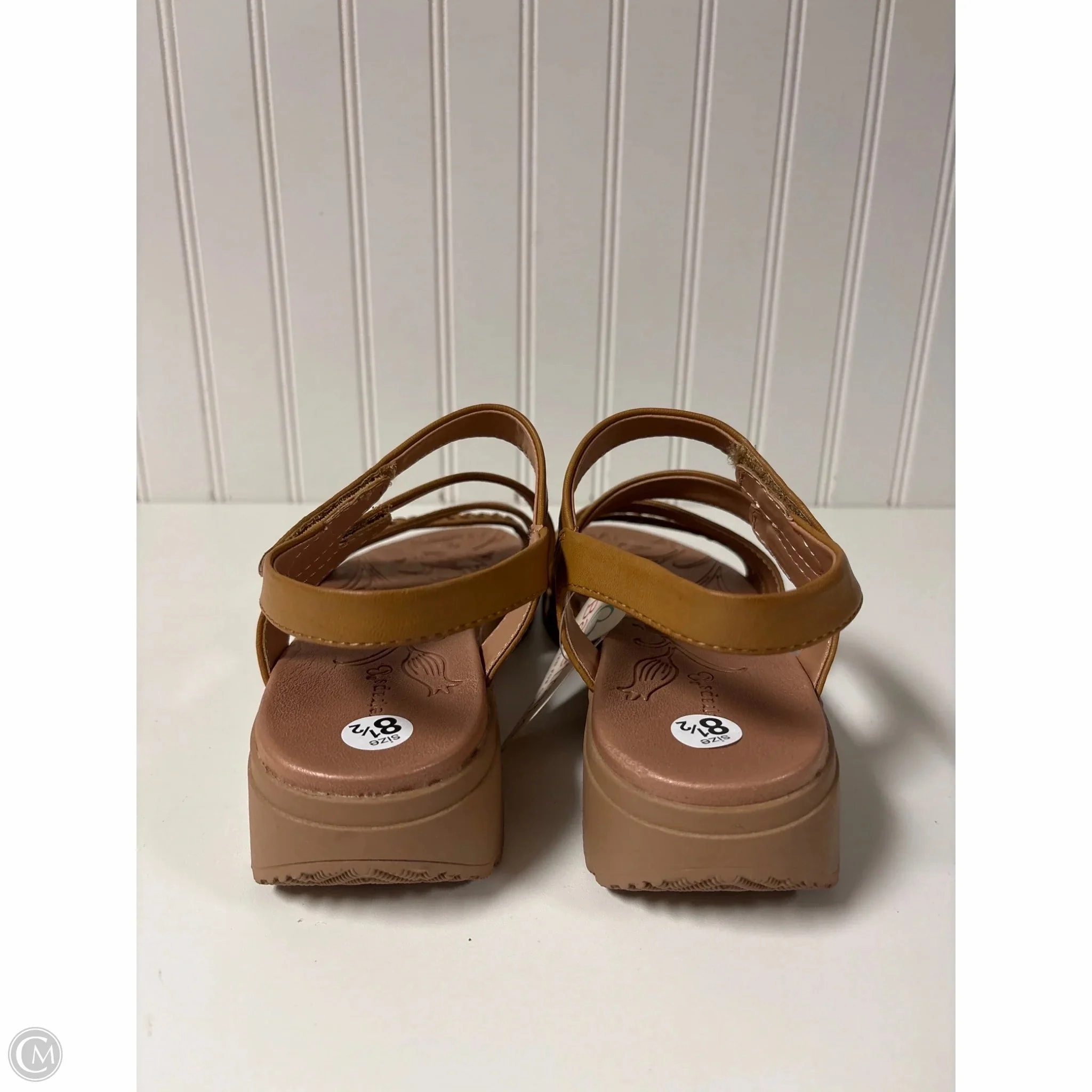 Shoes Heels Wedge By Bare Traps In Brown, Size: 8.5