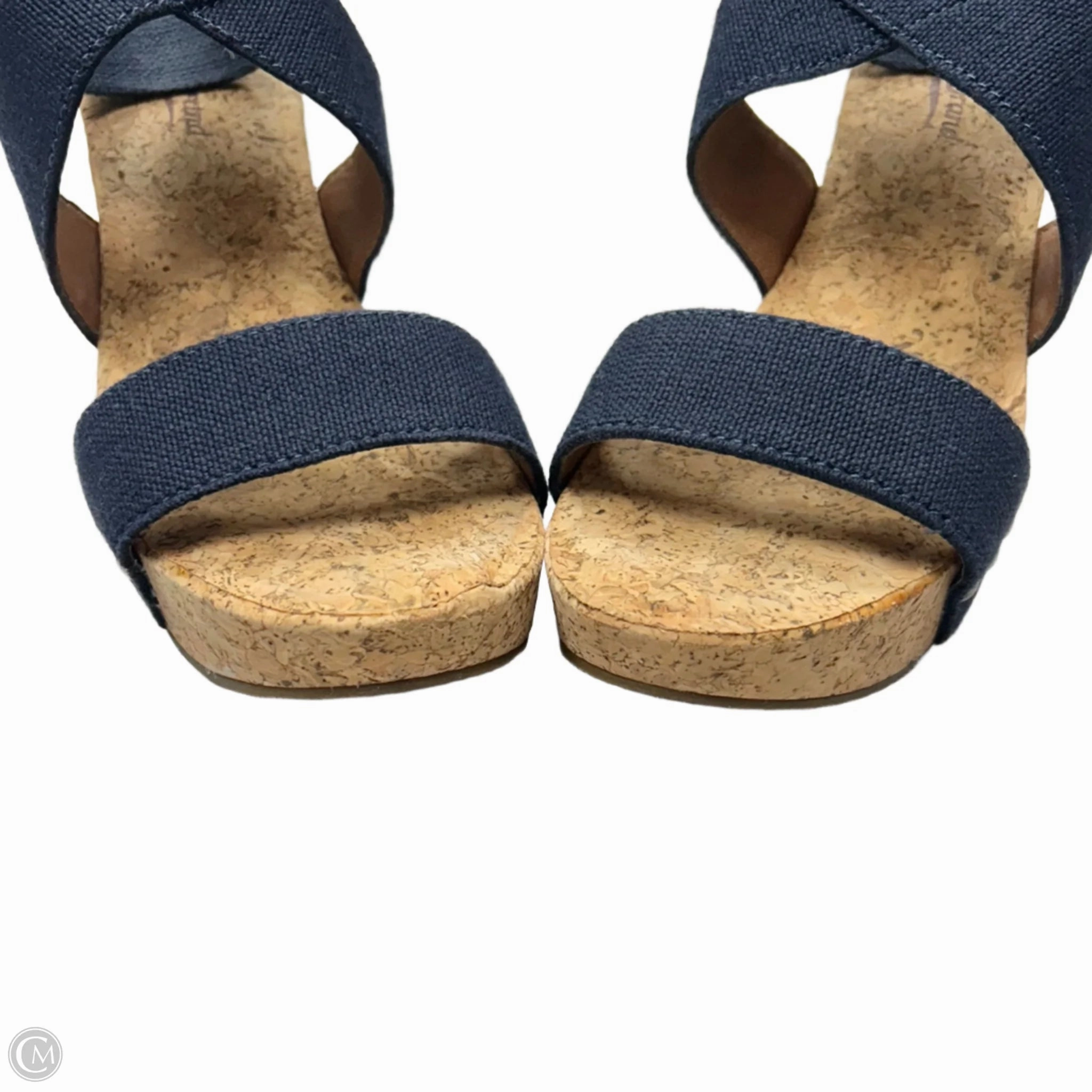 Shoes Heels Wedge By Lucky Brand In Blue & Brown, Size: 9